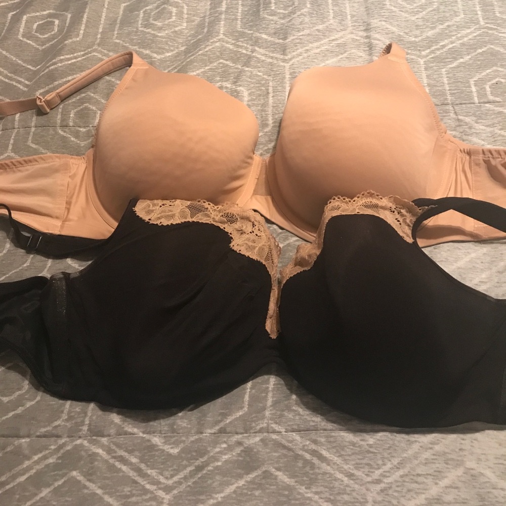 Lane Bryant bras